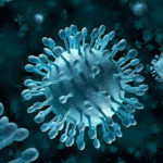 enterovirus