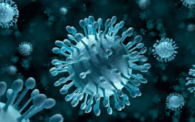 enterovirus
