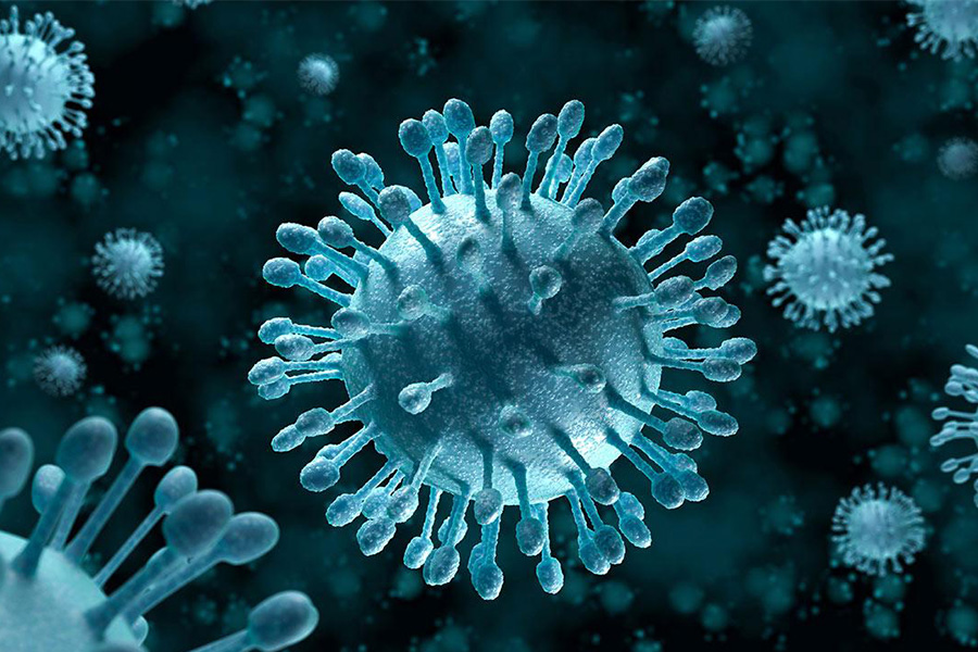 enterovirus